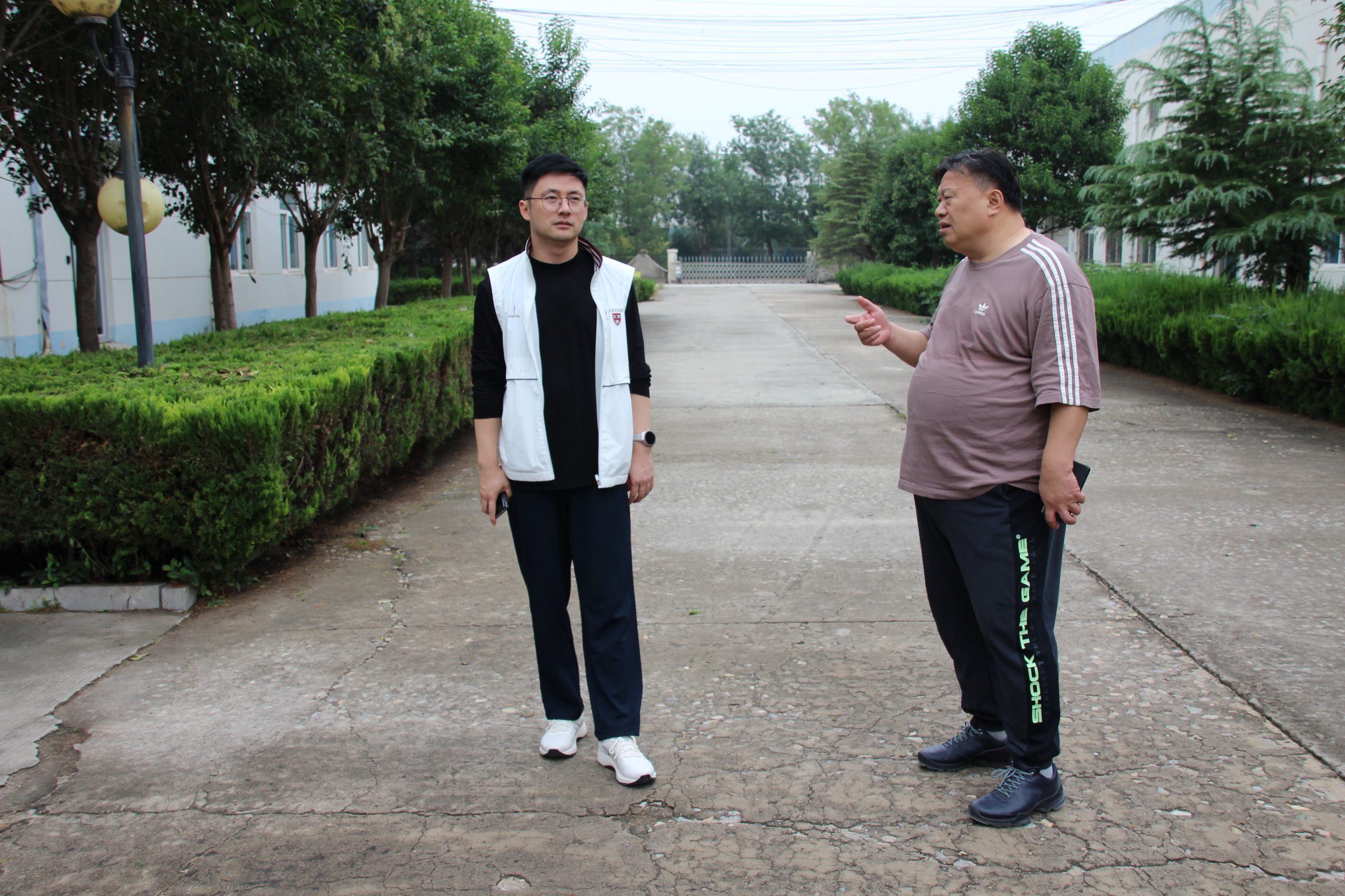 澳门六马资料大全